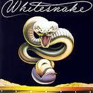 copertina WHITESNAKE Trouble