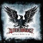 copertina ALTER BRIDGE Blackbird