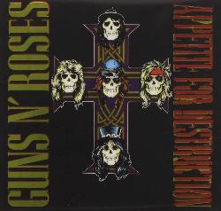 copertina GUNS N' ROSES 