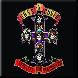 copertina GUNS N' ROSES 