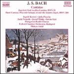 copertina BACH JOHANN SEBASTIAN Cantatas Bwv 51-208