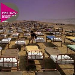 copertina PINK FLOYD A Momentary Lapse Of Reason